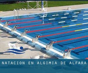 Natación en Algimia de Alfara