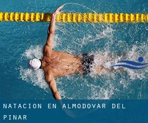 Natación en Almodóvar del Pinar