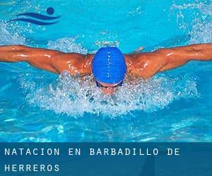 Natación en Barbadillo de Herreros