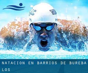 Natación en Barrios de Bureba (Los)