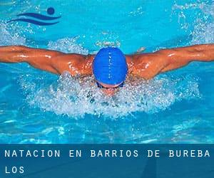 Natación en Barrios de Bureba (Los)