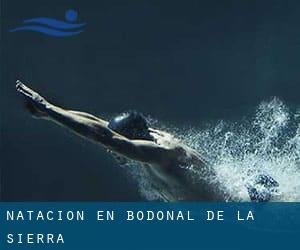 Natación en Bodonal de la Sierra