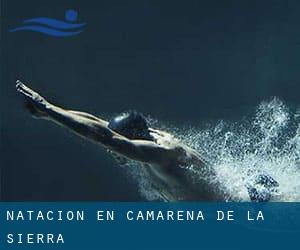 Natación en Camarena de la Sierra