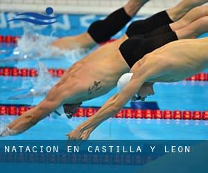 Natación en Castilla y León