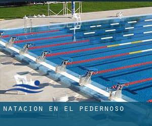 Natación en El Pedernoso