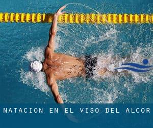 Natación en El Viso del Alcor