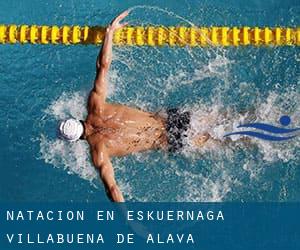 Natación en Eskuernaga / Villabuena de Álava