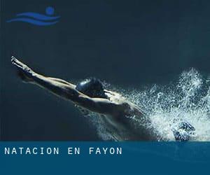 Natación en Fayón