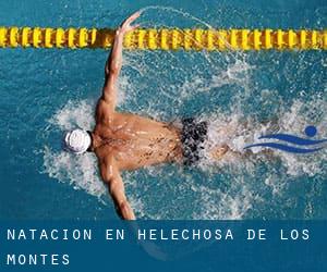 Natación en Helechosa de los Montes