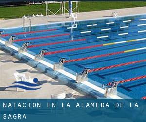 Natación en La Alameda de la Sagra