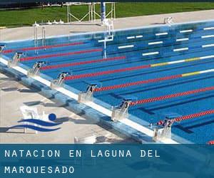 Natación en Laguna del Marquesado