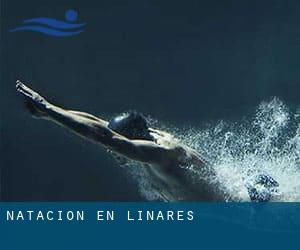 Natación en Linares