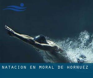 Natación en Moral de Hornuez