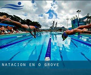 Natación en O Grove