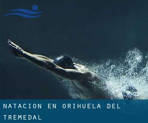 Natación en Orihuela del Tremedal