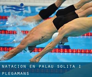 Natación en Palau-solità i Plegamans