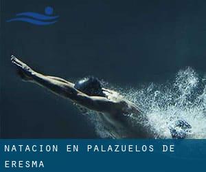 Natación en Palazuelos de Eresma