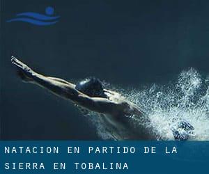 Natación en Partido de la Sierra en Tobalina