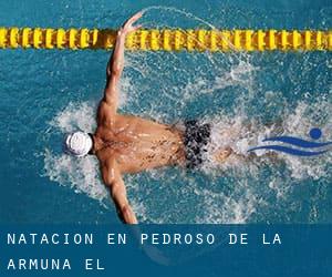 Natación en Pedroso de la Armuña (El)