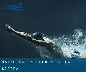 Natación en Puebla de la Sierra