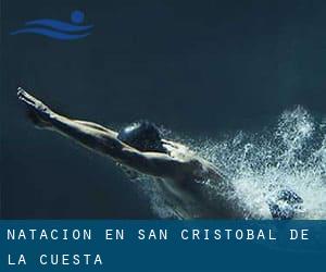 Natación en San Cristóbal de la Cuesta