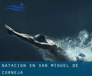 Natación en San Miguel de Corneja