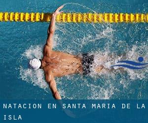 Natación en Santa María de la Isla