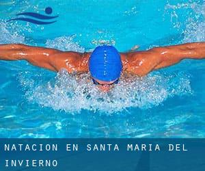 Natación en Santa María del Invierno