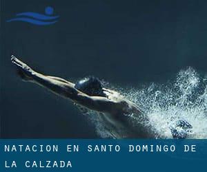 Natación en Santo Domingo de la Calzada