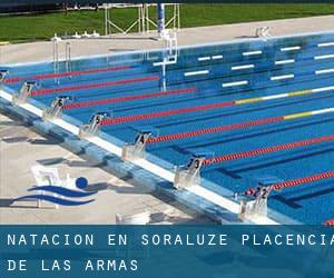 Natación en Soraluze / Placencia de las Armas