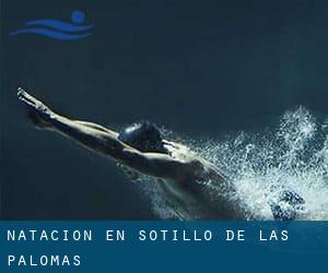 Natación en Sotillo de las Palomas