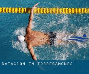 Natación en Torregamones