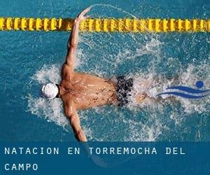 Natación en Torremocha del Campo