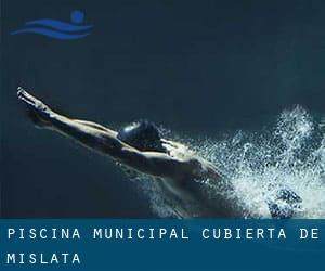 Piscina-Municipal Cubierta de Mislata