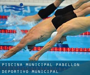 Piscina-Municipal / Pabellon Deportivo-Municipal