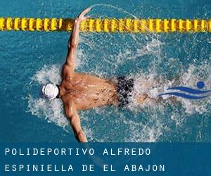 Polideportivo Alfredo Espiniella de el Abajón