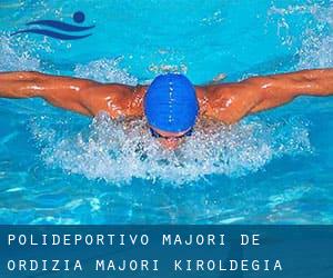 Polideportivo Majori de Ordizia / Majori Kiroldegia